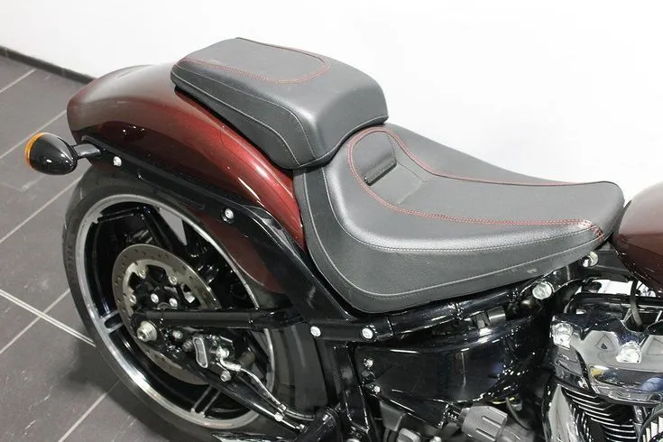 Harley-Davidson FXBRS Image 7